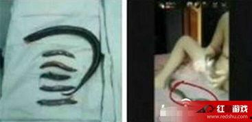 黄鳝女主播琪琪不雅视频,网络直播的道德边界与法律挑战