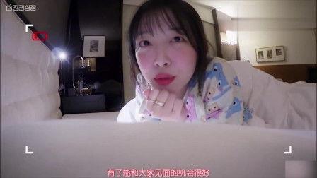 网红雪梨fx,揭秘网红背后的时尚魅力与商业智慧