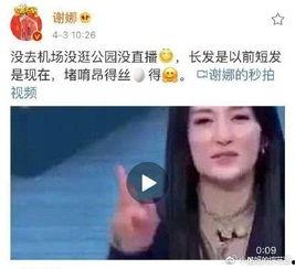 谢娜搞笑新闻,笑料百出，欢乐无限
