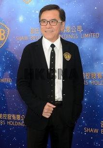 明星 大伟,星光璀璨的娱乐圈璀璨之星